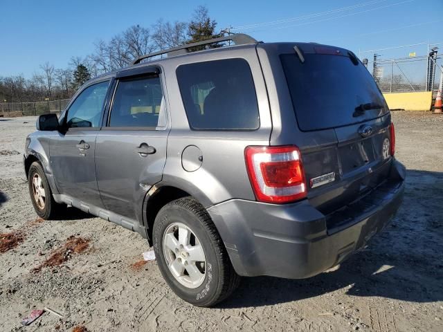 2011 Ford Escape XLT