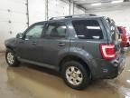 2009 Ford Escape Limited