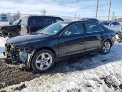 Salvage cars for sale at Cicero, IN auction: 2012 Chevrolet Malibu LS