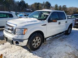 Ford Vehiculos salvage en venta: 2013 Ford F150 Supercrew