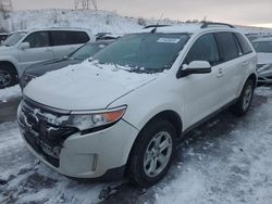 2013 Ford Edge SEL en venta en Littleton, CO