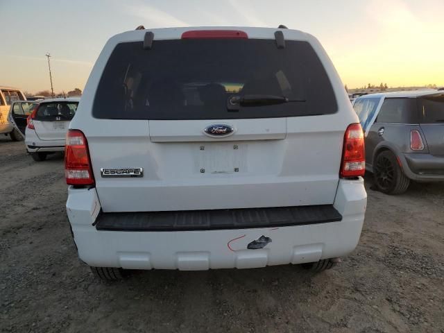 2009 Ford Escape XLT