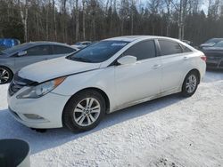 Hyundai Sonata salvage cars for sale: 2013 Hyundai Sonata GLS