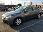 2007 Toyota Camry Hybrid