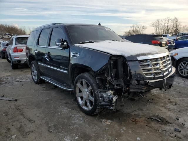 2010 Cadillac Escalade Luxury