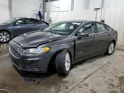 2019 Ford Fusion SE en venta en Ham Lake, MN