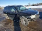 2006 Buick Rainier CXL