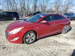 Hybrid Vehicles for sale at auction: 2013 Hyundai Sonata Hybrid