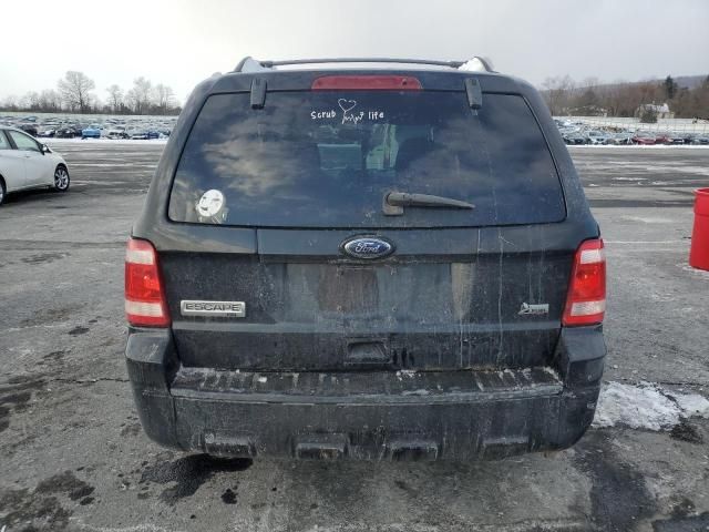 2010 Ford Escape XLT