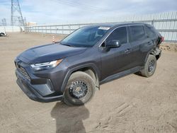 Salvage cars for sale at Adelanto, CA auction: 2023 Toyota Rav4 LE