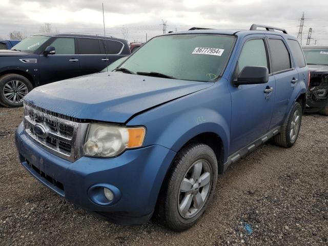 2010 Ford Escape XLT