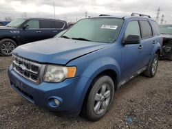 2010 Ford Escape XLT en venta en Elgin, IL