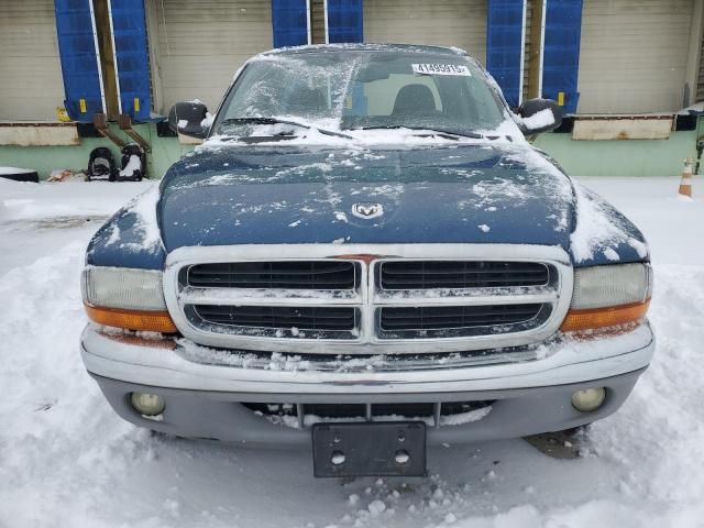 2003 Dodge Dakota SLT