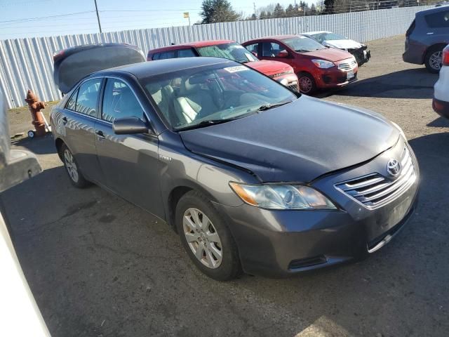 2009 Toyota Camry Hybrid