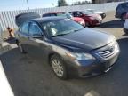 2009 Toyota Camry Hybrid