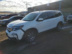 Salvage cars for sale at Colorado Springs, CO auction: 2019 Honda Pilot EXL