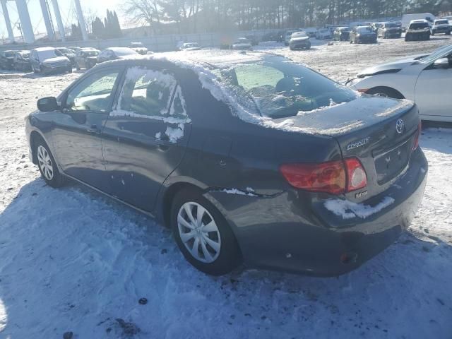 2010 Toyota Corolla Base