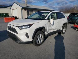 Toyota rav4 le Vehiculos salvage en venta: 2019 Toyota Rav4 LE