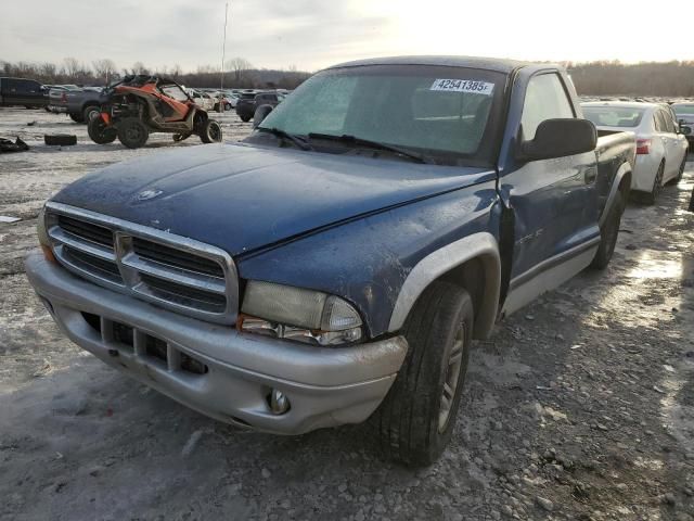 2002 Dodge Dakota SLT