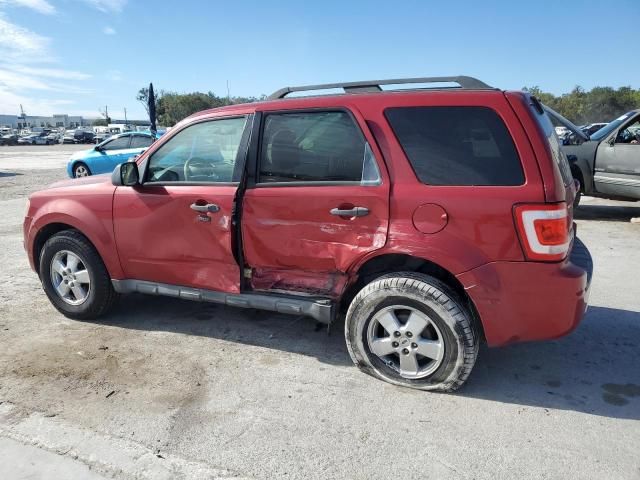 2010 Ford Escape XLT