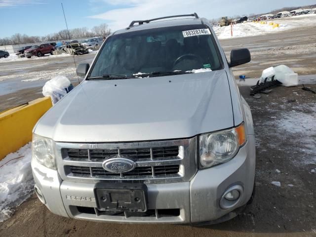 2009 Ford Escape XLT