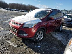 Ford Vehiculos salvage en venta: 2013 Ford Escape SE