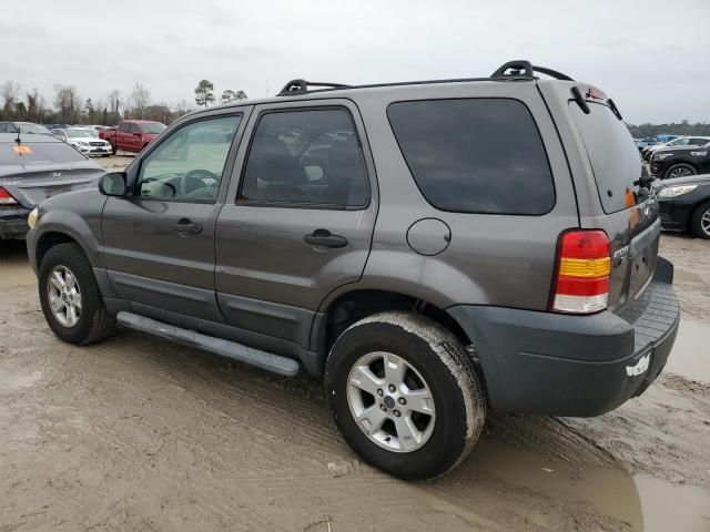 2005 Ford Escape XLT