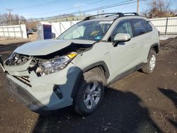 Toyota rav4 xle Vehiculos salvage en venta: 2020 Toyota Rav4 XLE