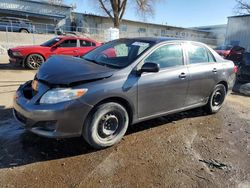 Salvage cars for sale from Copart Albuquerque, NM: 2009 Toyota Corolla Base