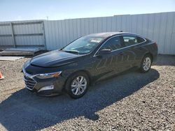 Salvage cars for sale at Riverview, FL auction: 2024 Chevrolet Malibu LT