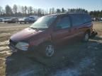 2004 Ford Freestar SEL