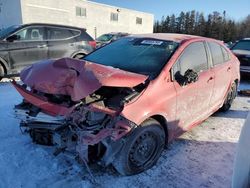 Salvage cars for sale at Cookstown, ON auction: 2020 Toyota Corolla LE