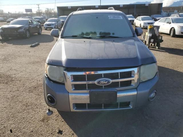 2008 Ford Escape Limited