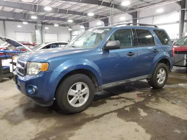 2009 Ford Escape XLT