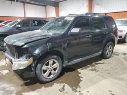 Salvage cars for sale from Copart Rocky View County, AB: 2011 Ford Escape XLT