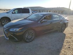 Salvage cars for sale at San Antonio, TX auction: 2024 Lexus ES 300H Base