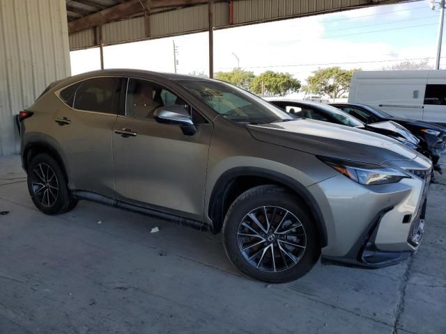 2024 Lexus NX 250 Premium