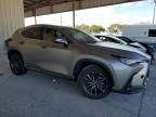 2024 Lexus NX 250 Premium