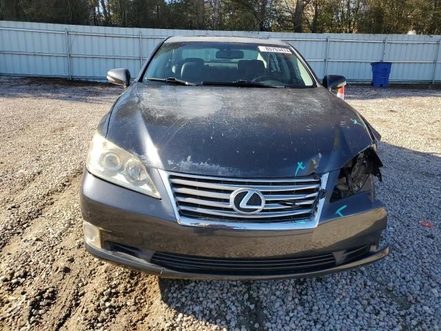 2010 Lexus ES 350