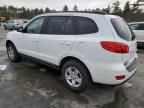 2009 Hyundai Santa FE GLS