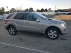 2007 Mercedes-Benz ML 500