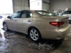 2005 Lexus ES 330