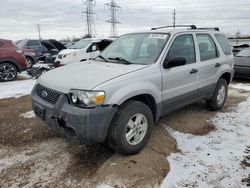 Salvage cars for sale at Elgin, IL auction: 2006 Ford Escape XLS