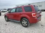 2010 Ford Escape Limited