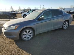 2008 Honda Accord EXL en venta en Rocky View County, AB