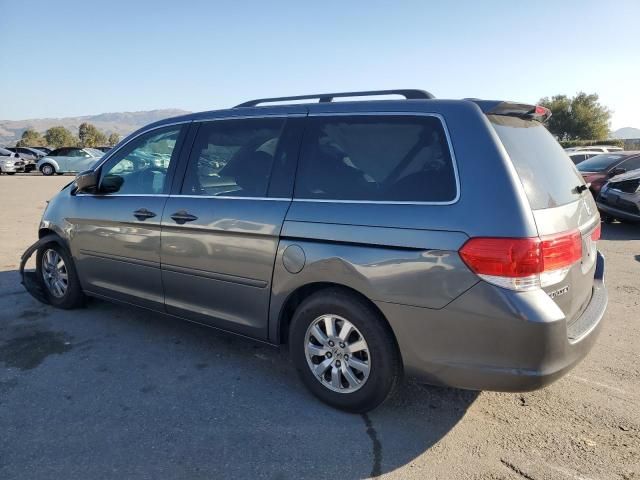 2010 Honda Odyssey EXL