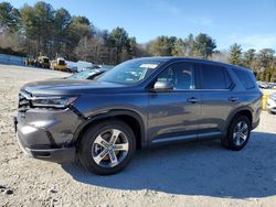 Honda Pilot Vehiculos salvage en venta: 2025 Honda Pilot EXL