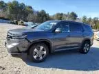 2025 Honda Pilot EXL