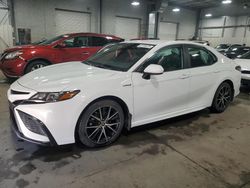 Salvage cars for sale at Ham Lake, MN auction: 2021 Toyota Camry SE