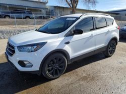 Salvage cars for sale at auction: 2019 Ford Escape SE